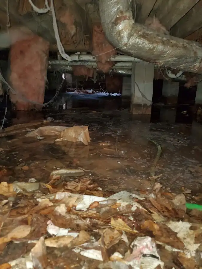 Crawl space flood assessment for Leak Detection & Repair in South Bay